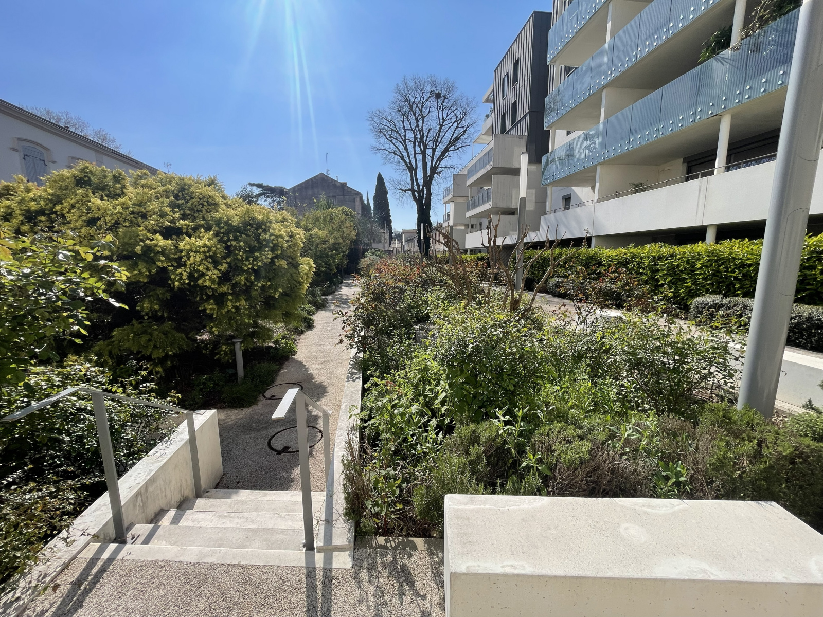 Image_, Appartement, Montpellier, ref :59