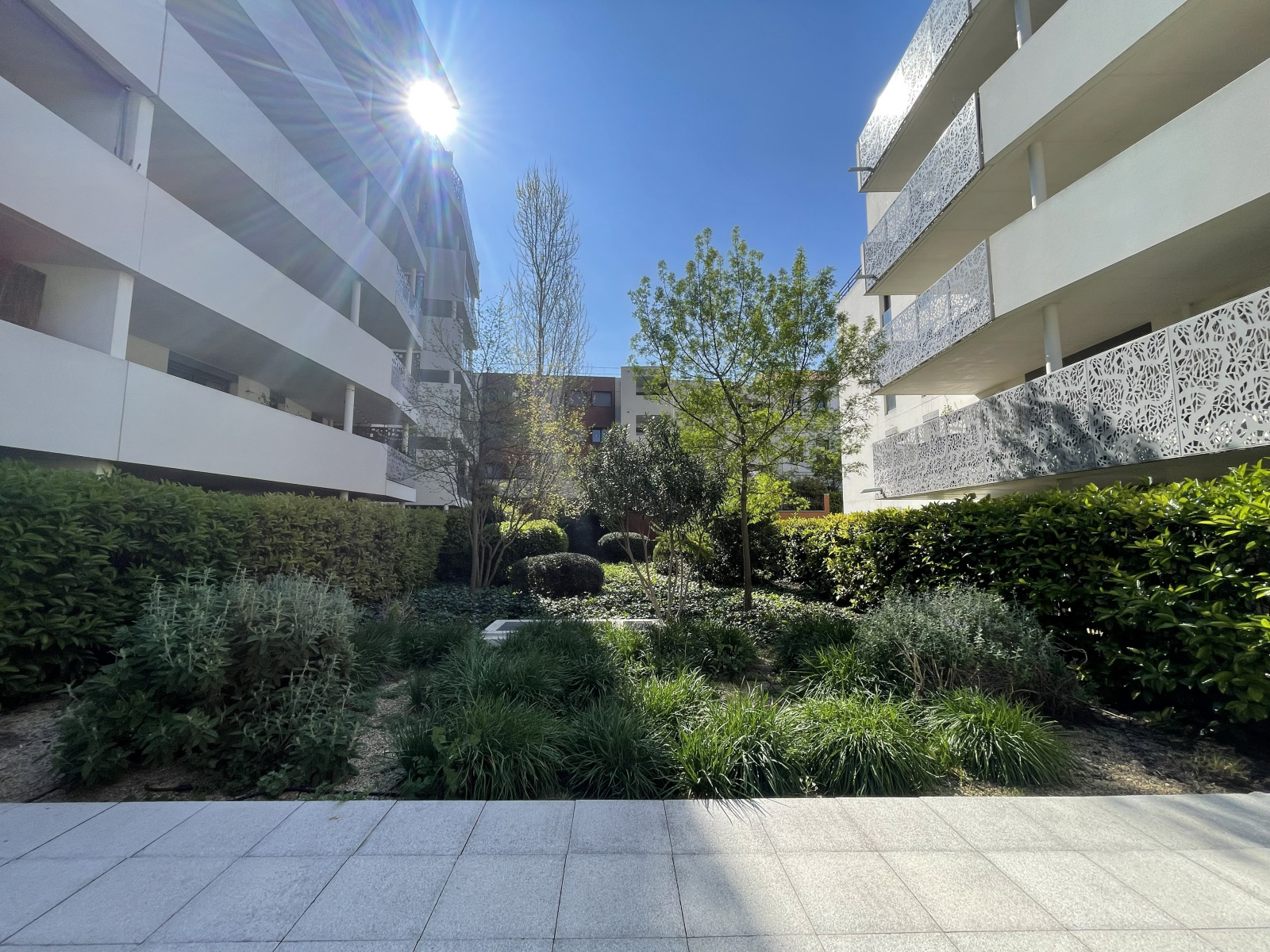 Image_, Appartement, Montpellier, ref :59