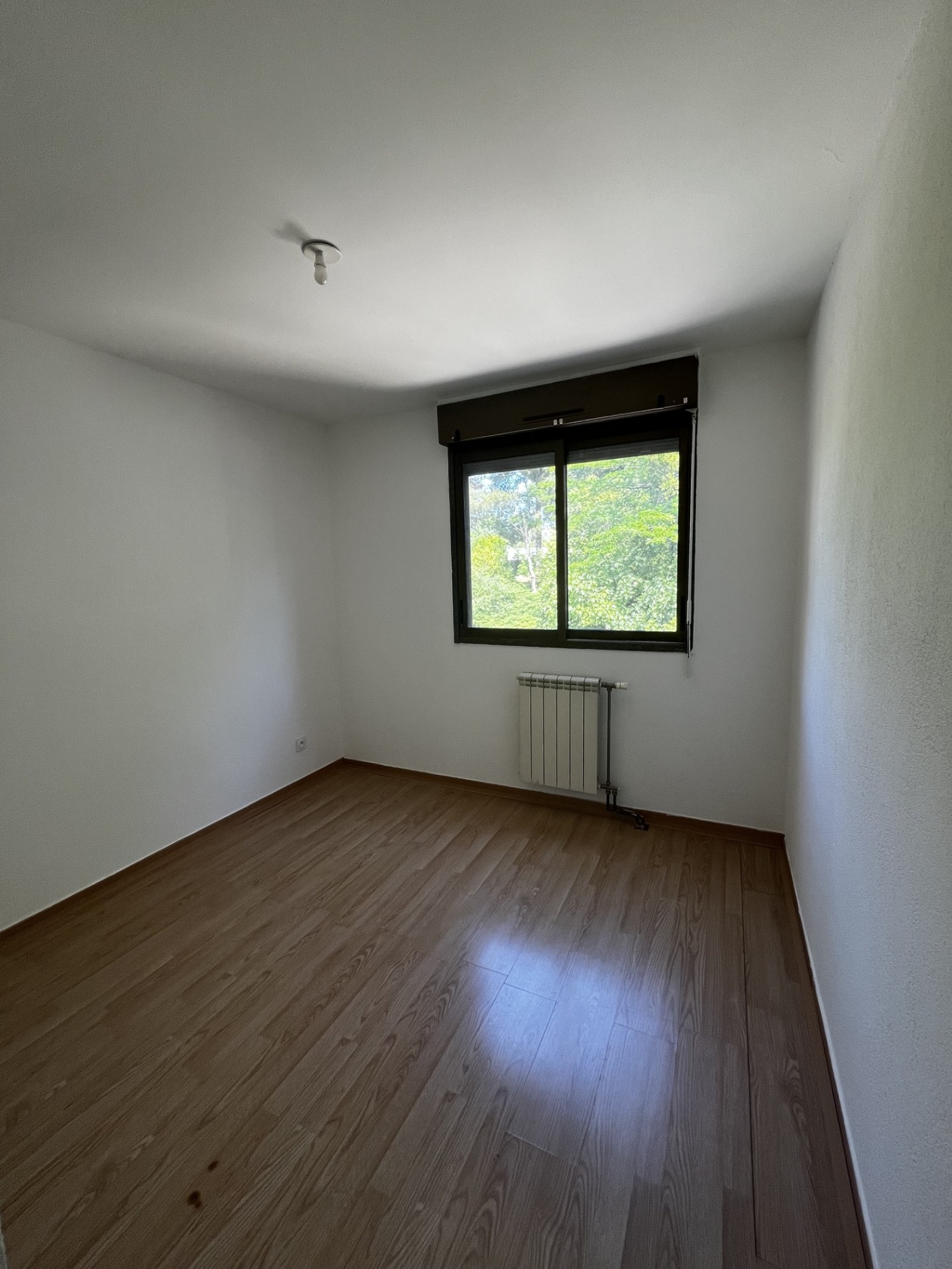 Image_, Appartement, Montpellier, ref :G017