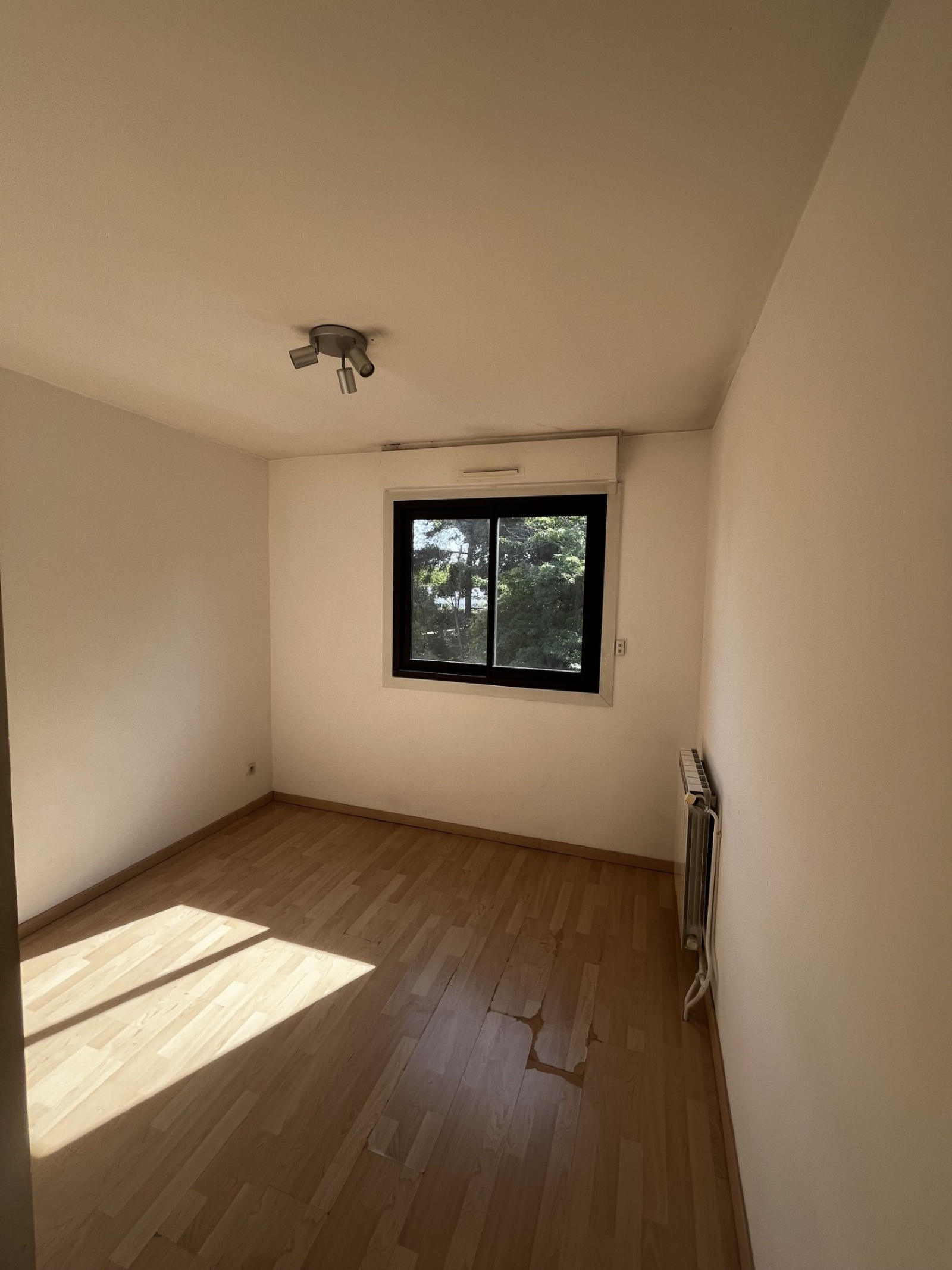 Image_, Appartement, Montpellier, ref :104